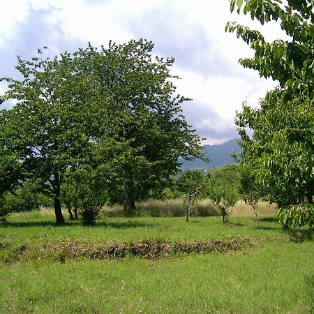 فيلا Cirasellaetna SantʼAlfio المظهر الخارجي الصورة