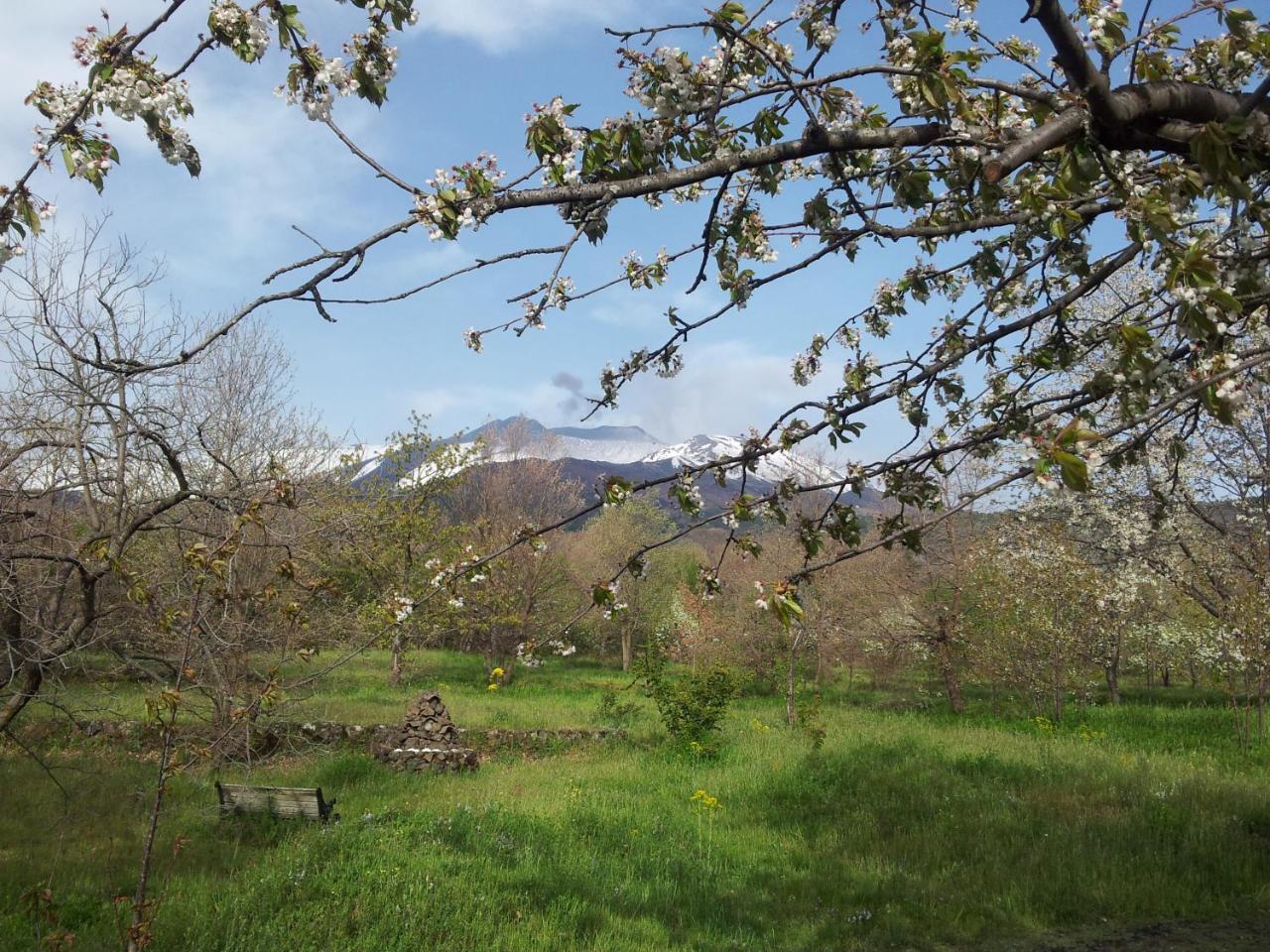 فيلا Cirasellaetna SantʼAlfio المظهر الخارجي الصورة